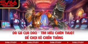 Đá Gà Cựa Dao - Tìm Hiểu Chiến Thuật Để Chọi Kê Chiến Thắng